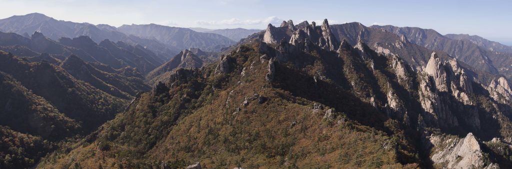 Dinosaur spine guided hike in south korea