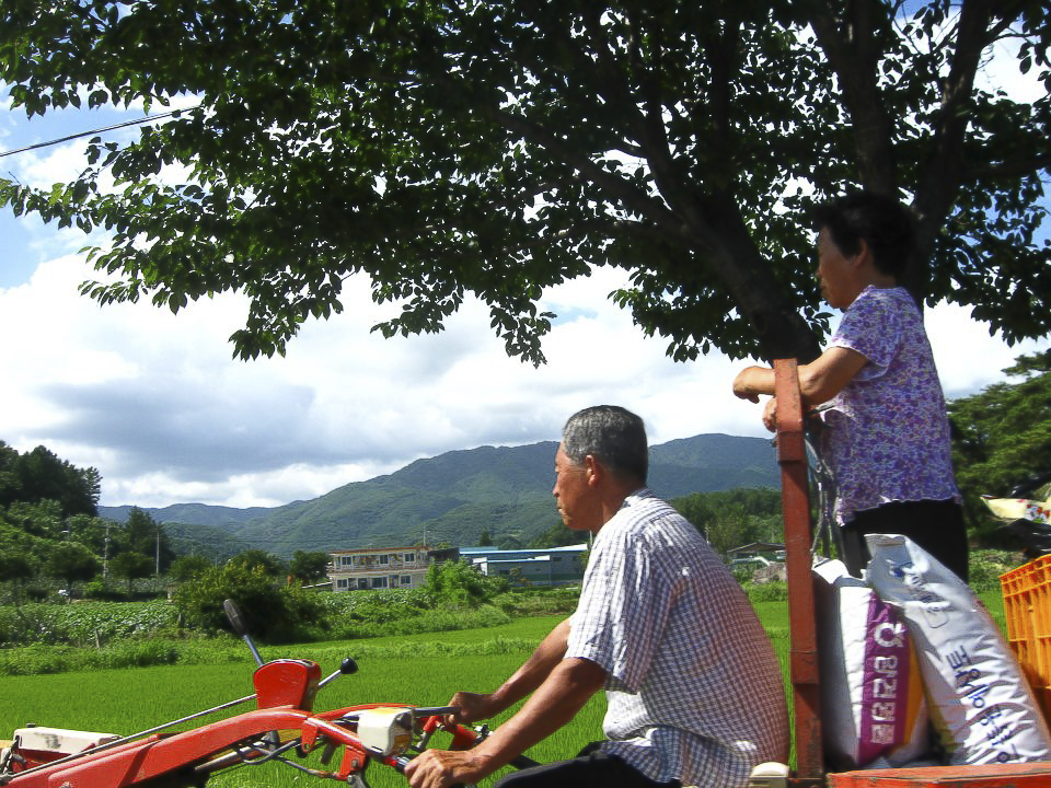 Guided hikes in South Korea