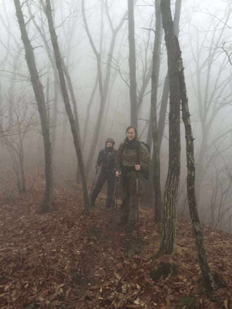 Guided hikes in South Korea