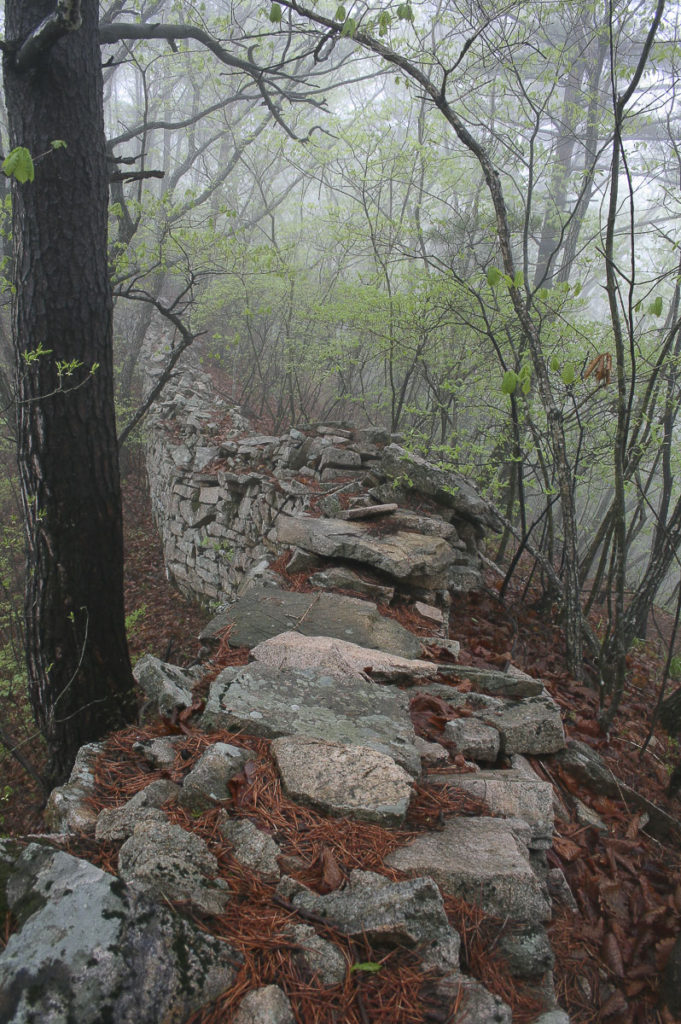 Guided hikes in South Korea