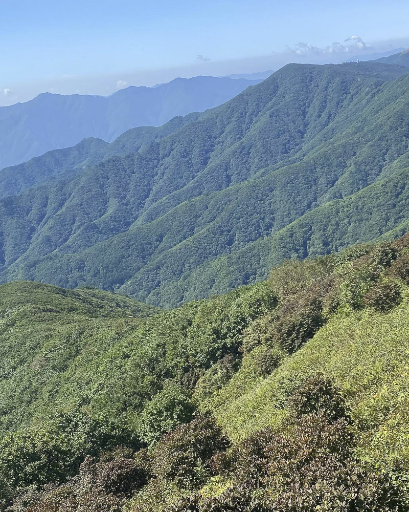 Guided hikes in South Korea
