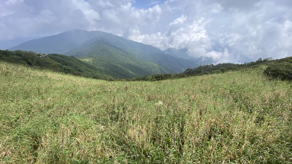 Guided hikes in South Korea