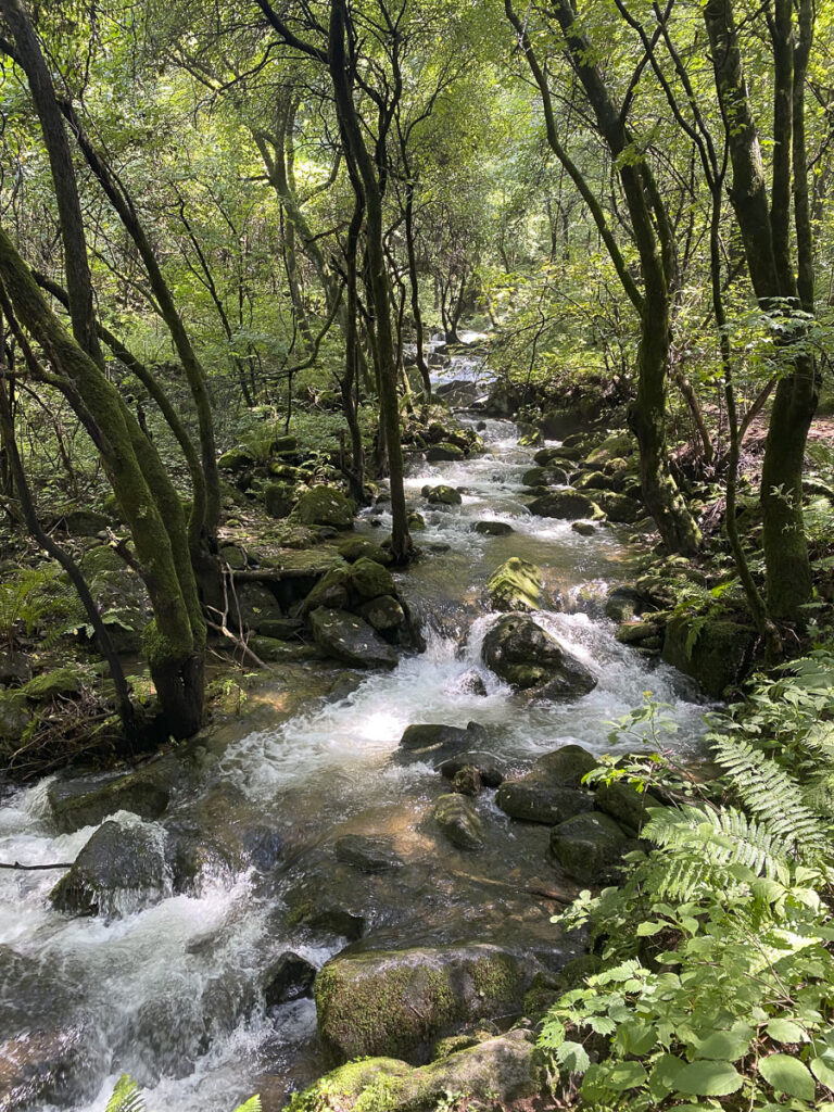 Guided hikes in South Korea