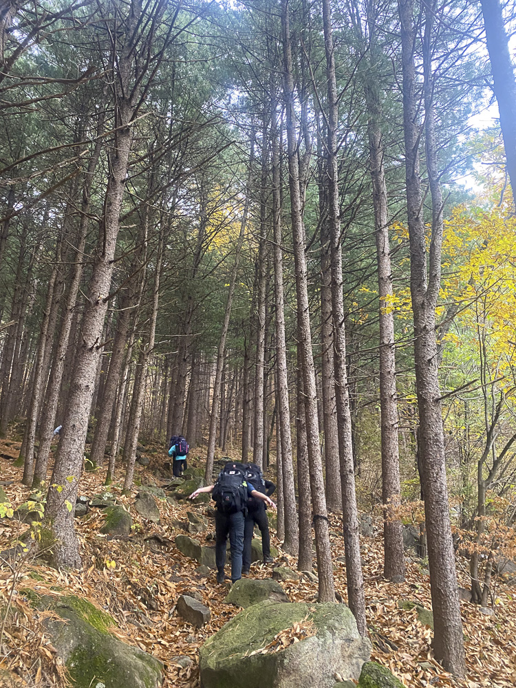 Duke of Edinburgh Award in South Korea