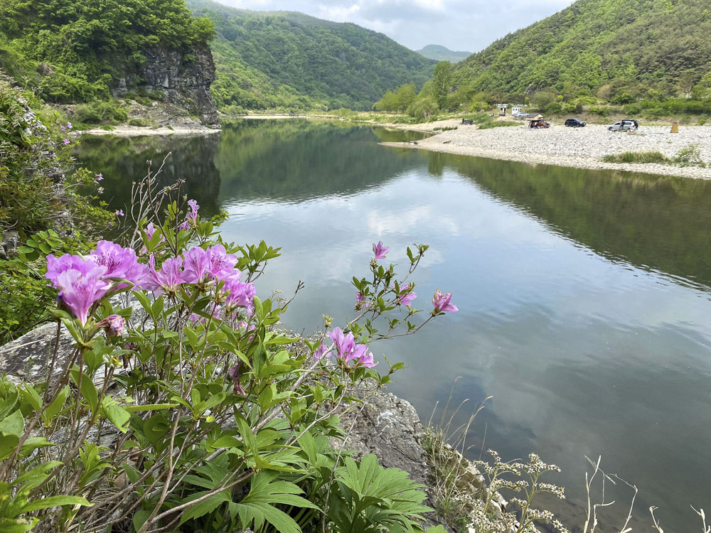 Guided hikes in South Korea