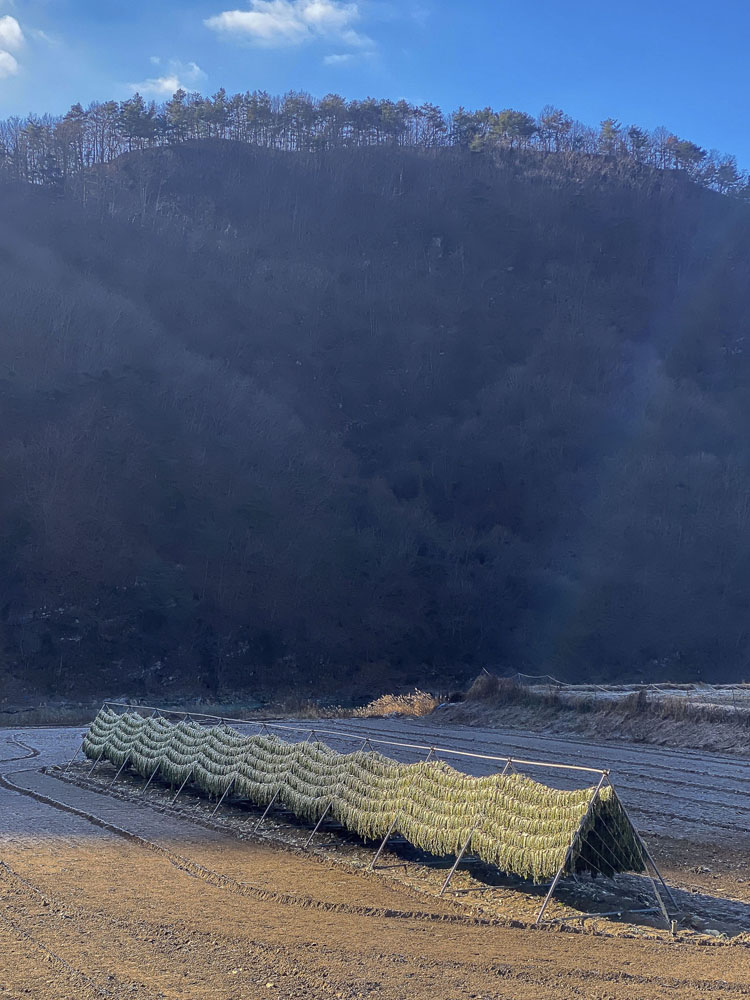 Guided hikes in South Korea